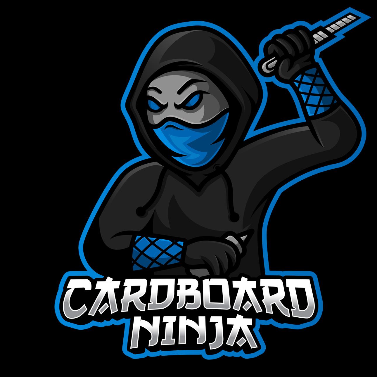 Cardboard Ninja