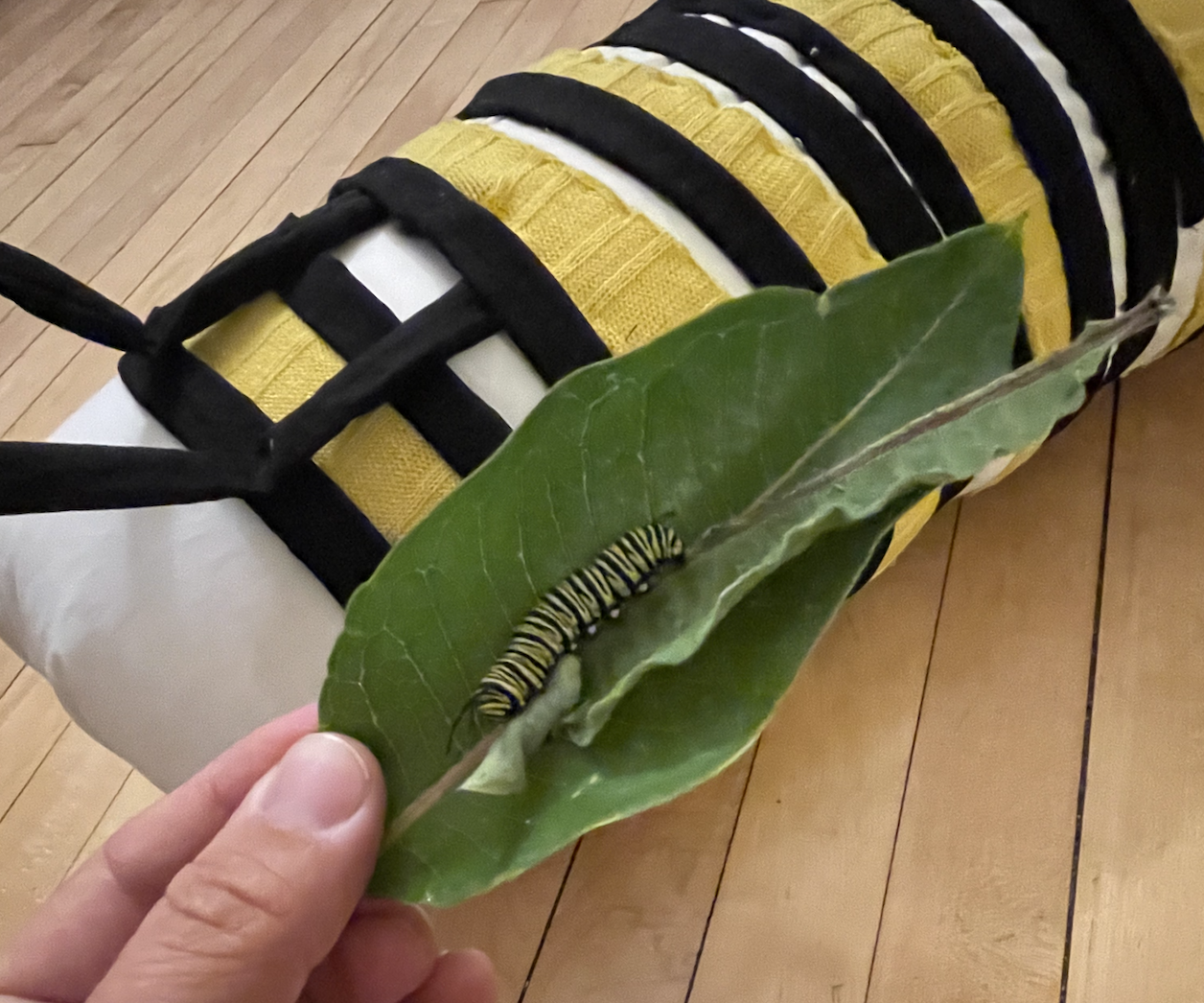 Giant Monarch Caterpillow
