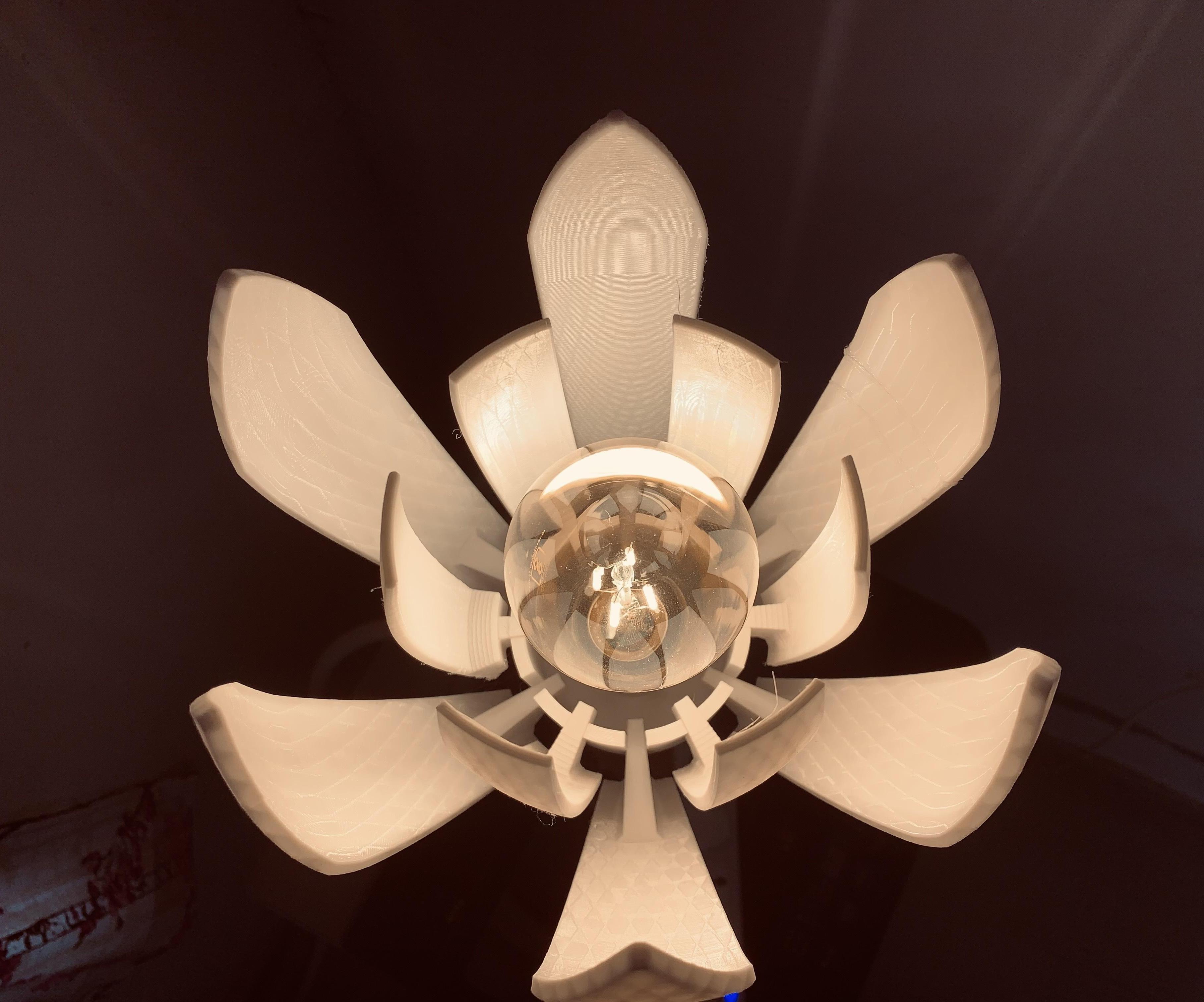 3D Printed Flower Shape Lamp.