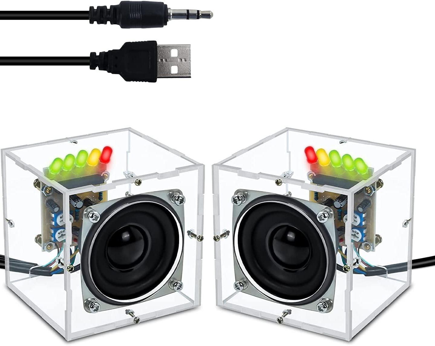 ICStation Amplified Dual Speaker Kit