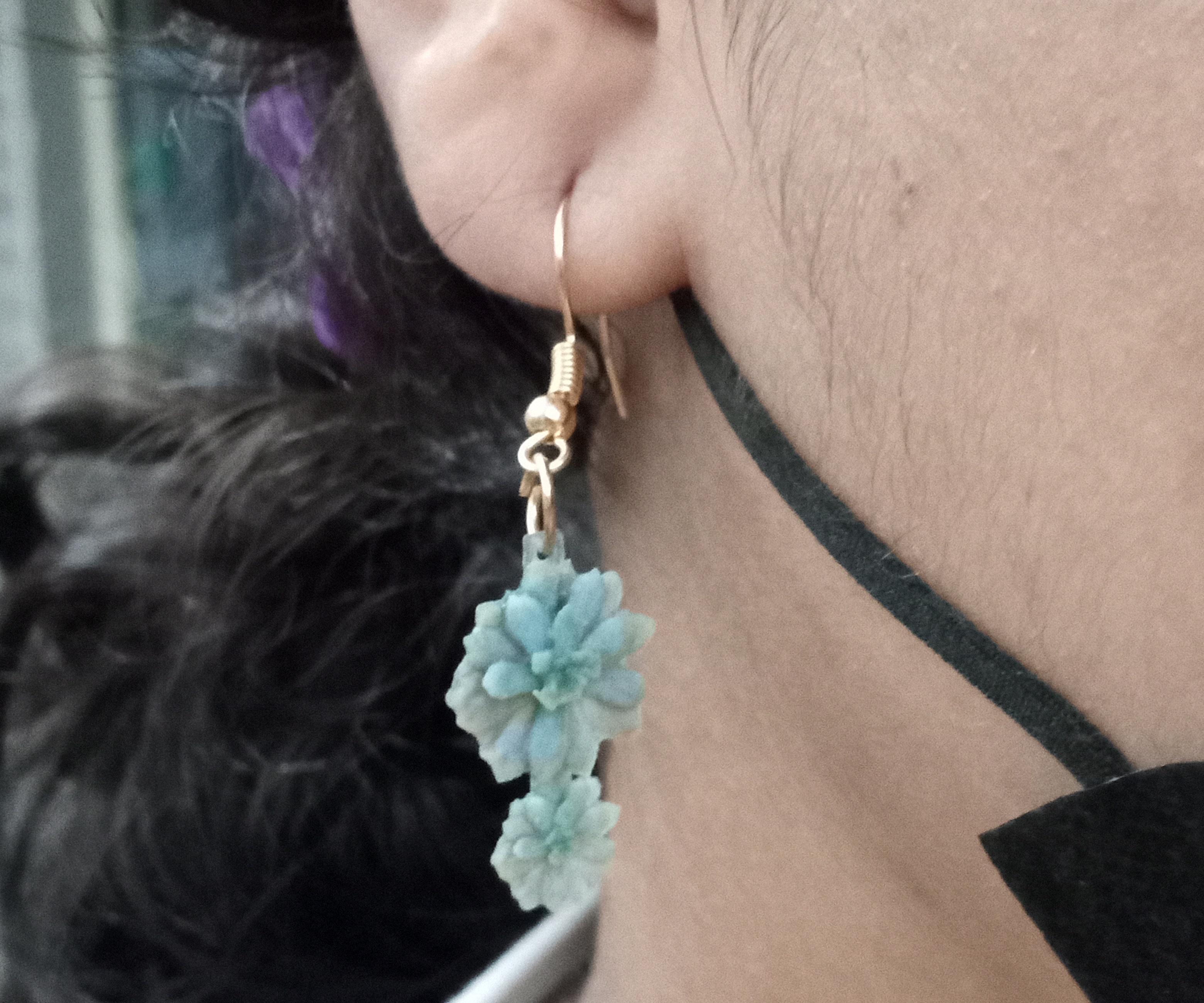 Echeveria Elegans Photogrammetry Earrings