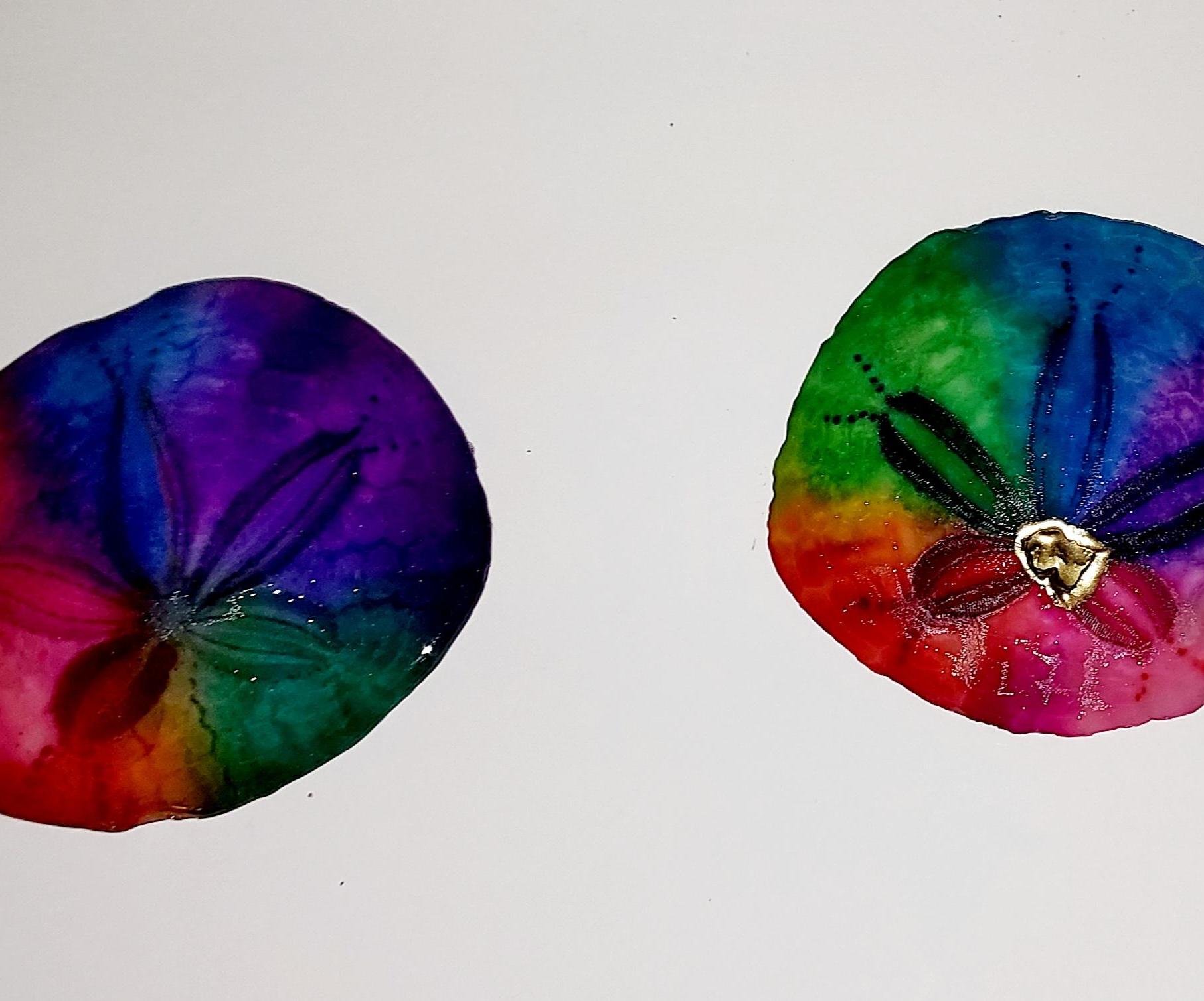 Vivid Rainbow Colored Sand Dollars