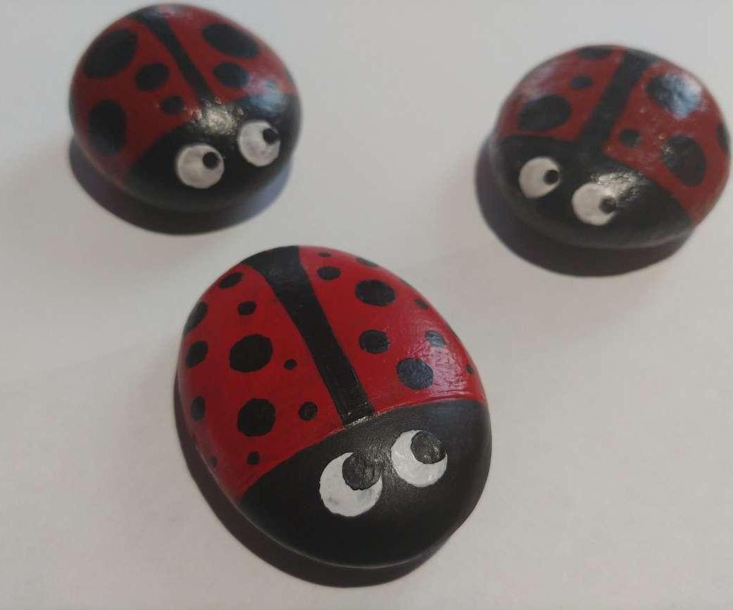 How to Paint a Cute, Decorative Ladybug