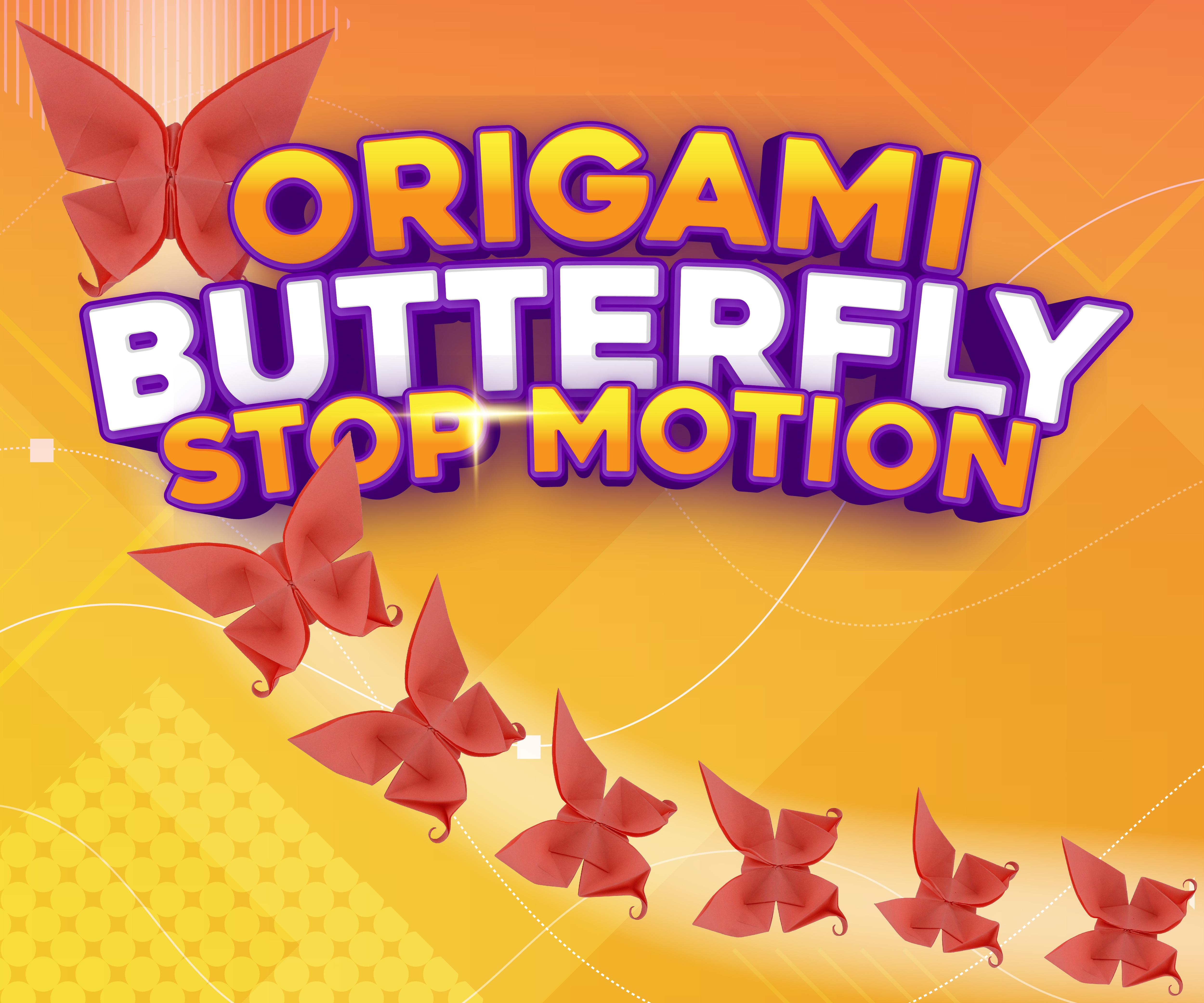 Origami Butterfly Stop Motion