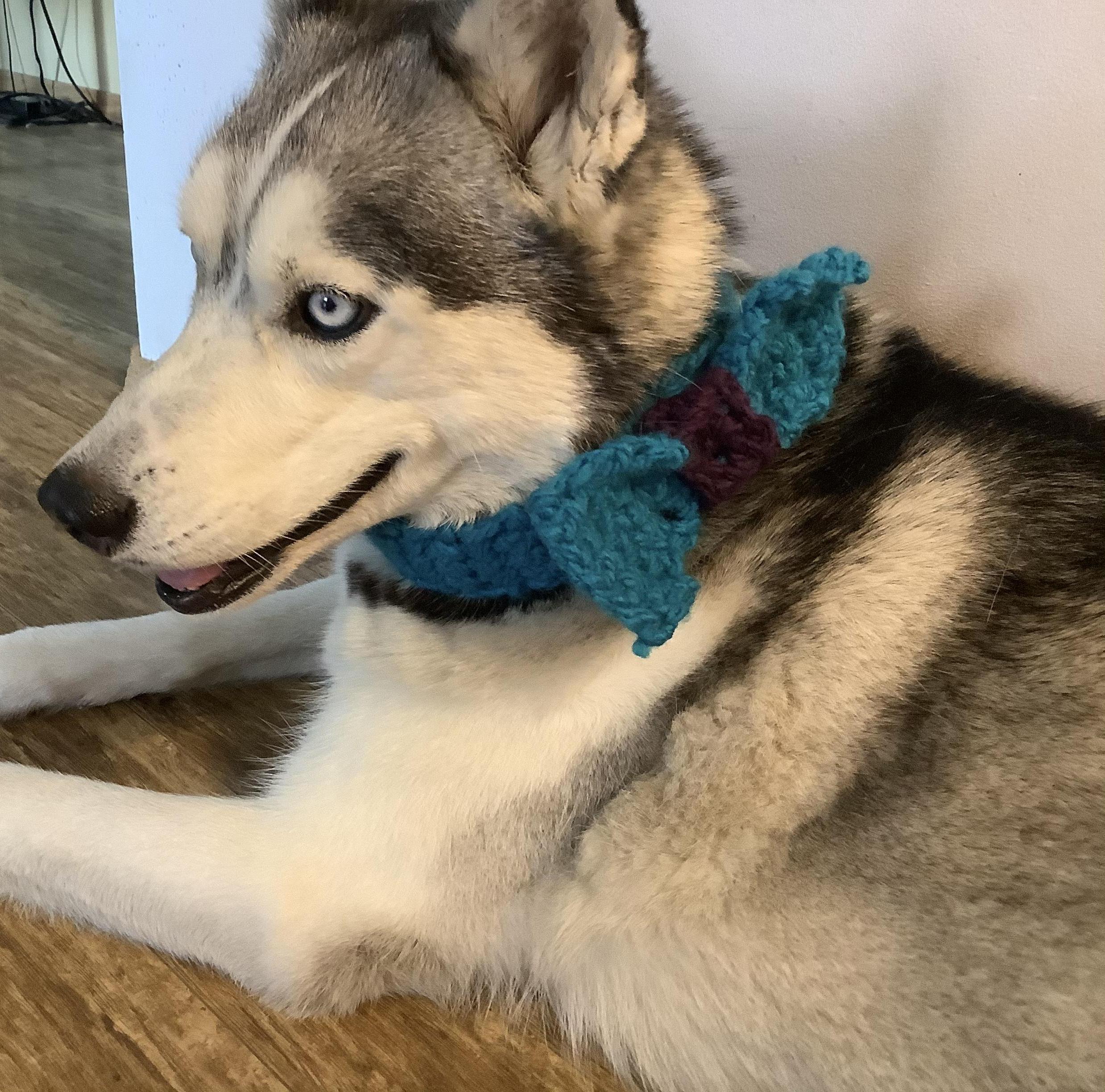 Crocheted Collar With a Bow