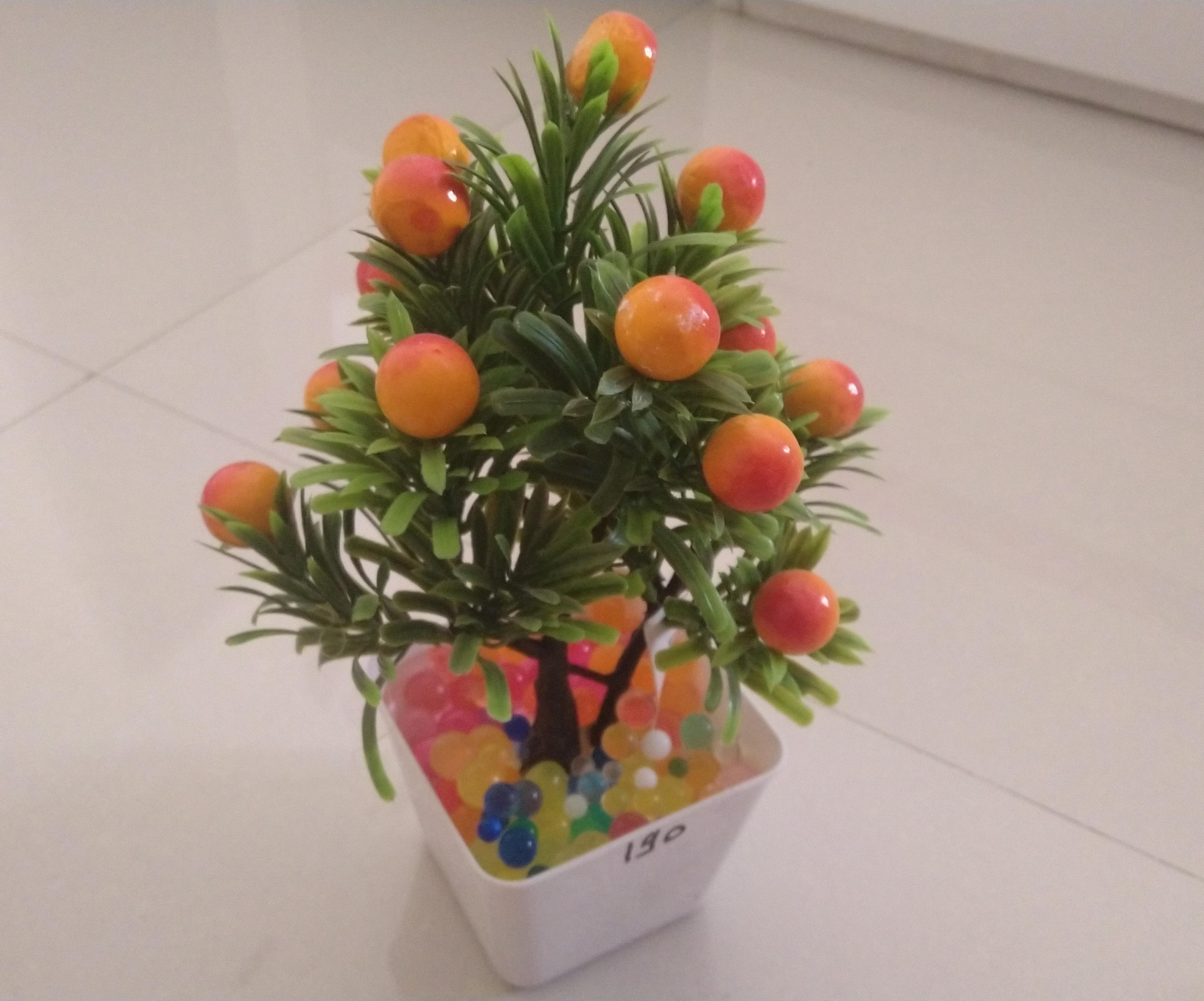 Orbeez Plant