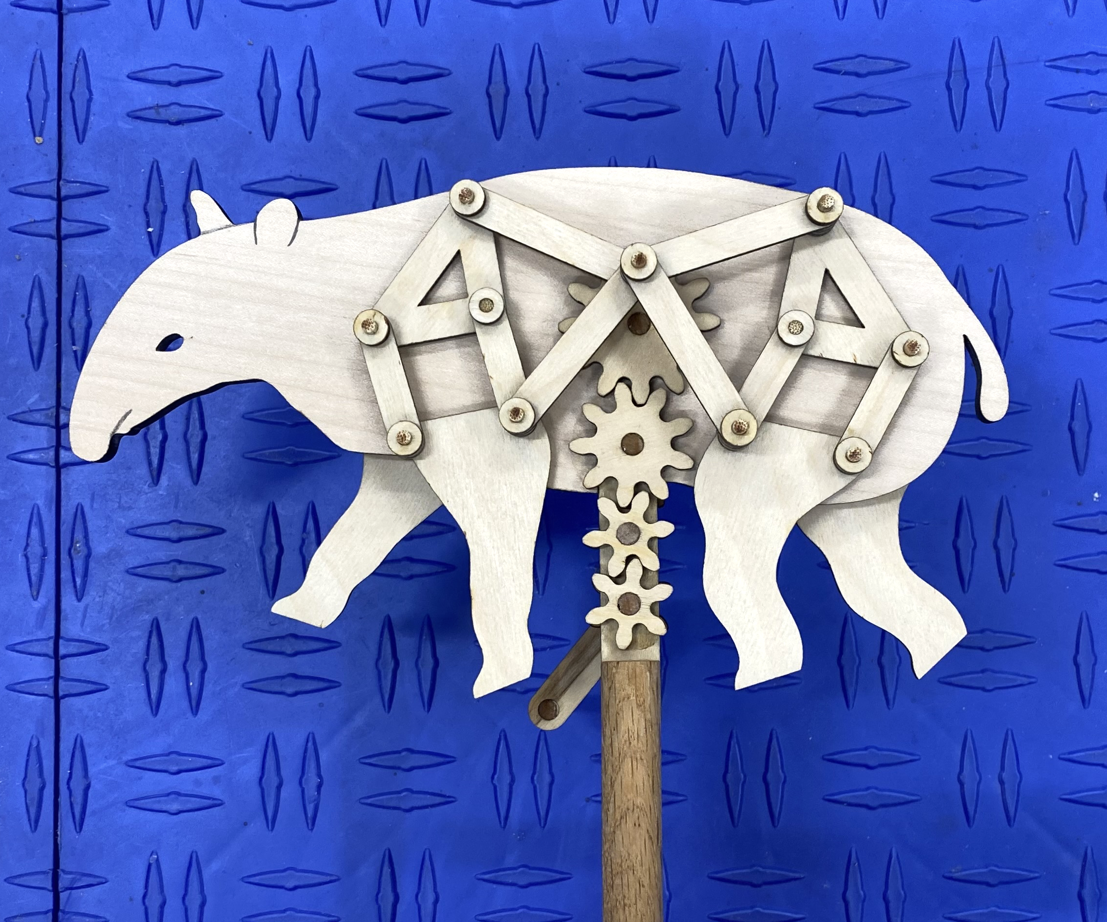 Walking Tapir Automaton