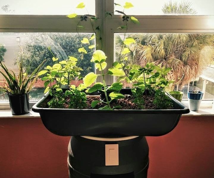 Build Your Own Aquaponics System in One Day - 6 Steps