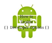 Enable Developer Options on an Android Phone