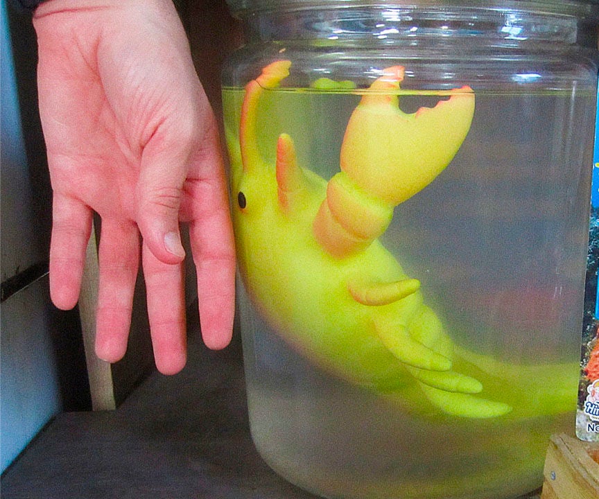 Amazing Diy Experiment | Growing Creatures