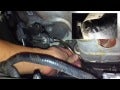 Tutorial: Change Clutch Fluid on 2004 Honda Civic