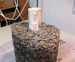 Bird Seed Log