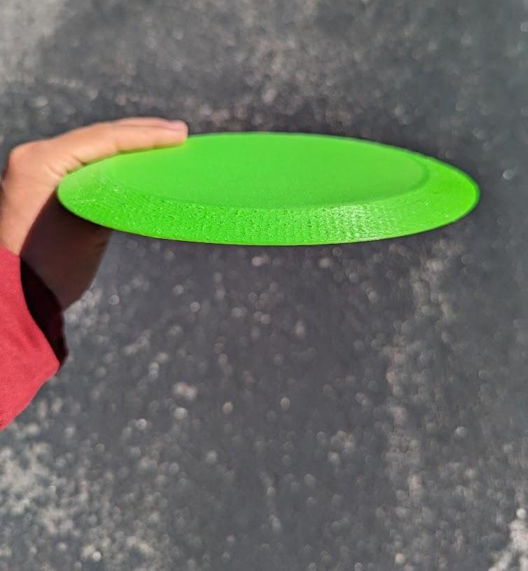 3D Printed Flying Disc