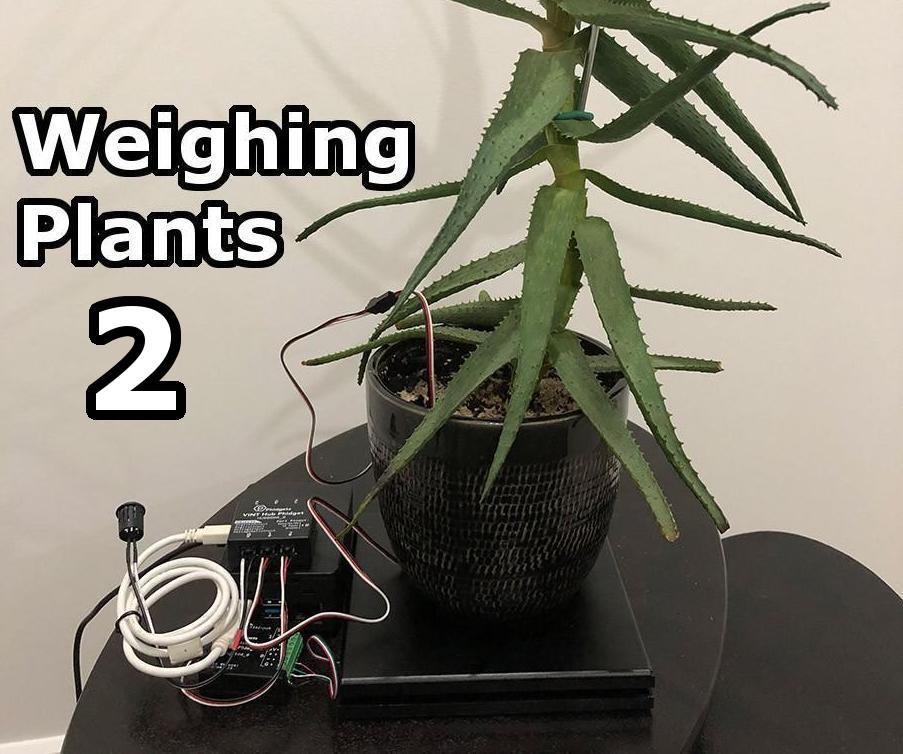 Weighing Plants - Part 2