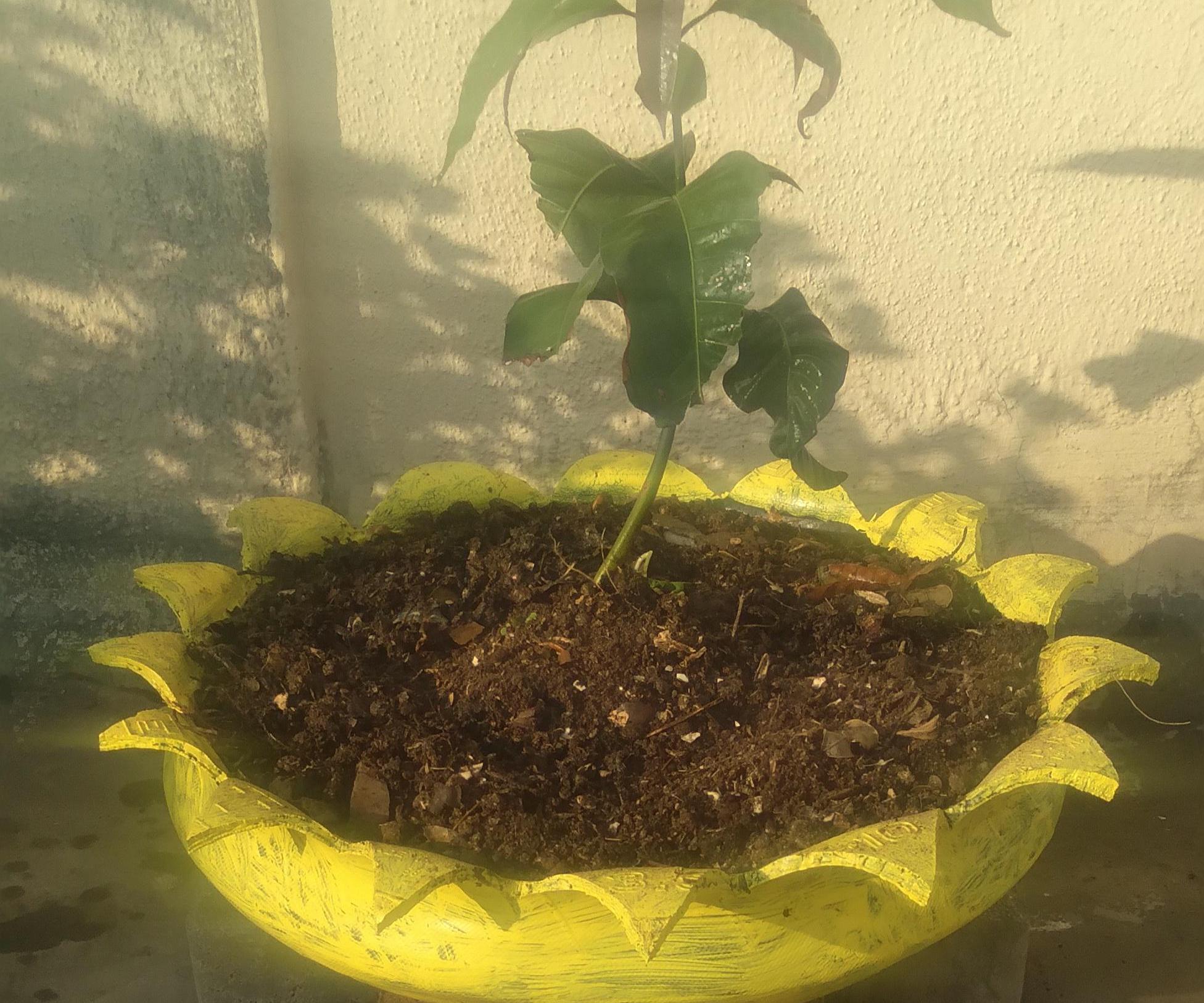 Recycling Tyre & Converting It Into a Plant Pot