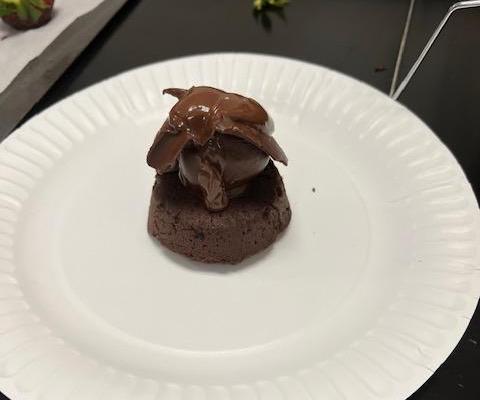 Double Chocolate Lava Cakes 