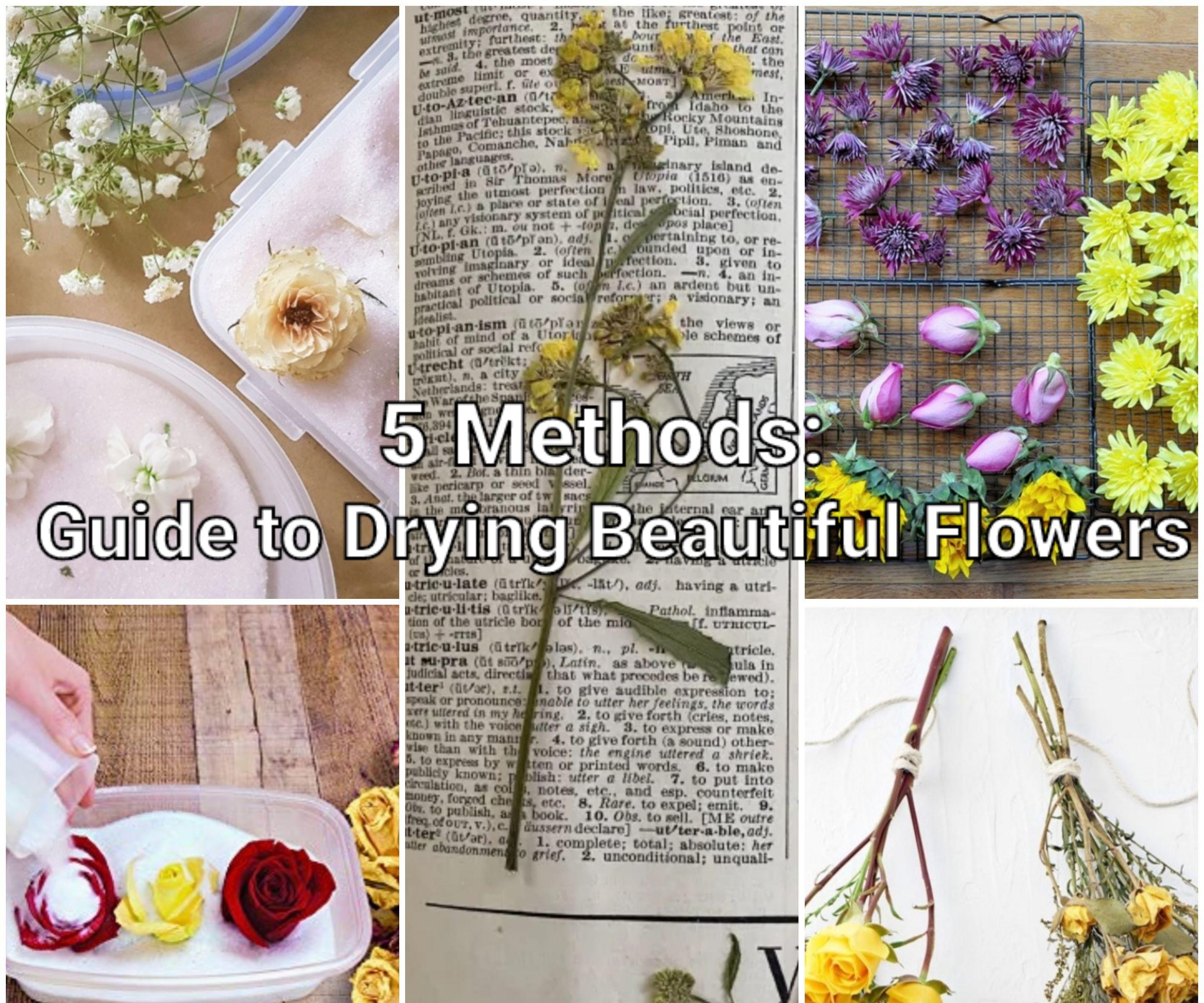 5 Methods: Guide to Drying Beautiful Flowers