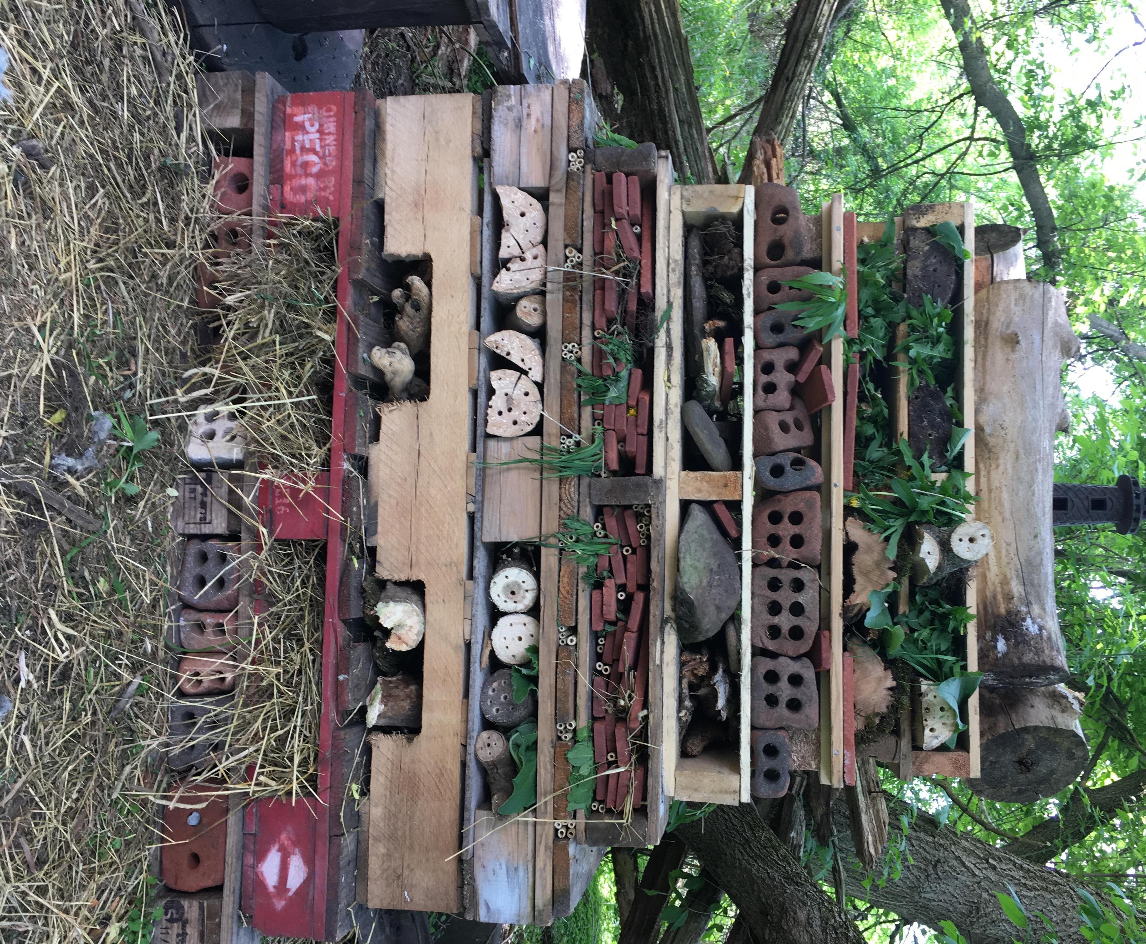 Bee Hotel / Pollinator Palace 