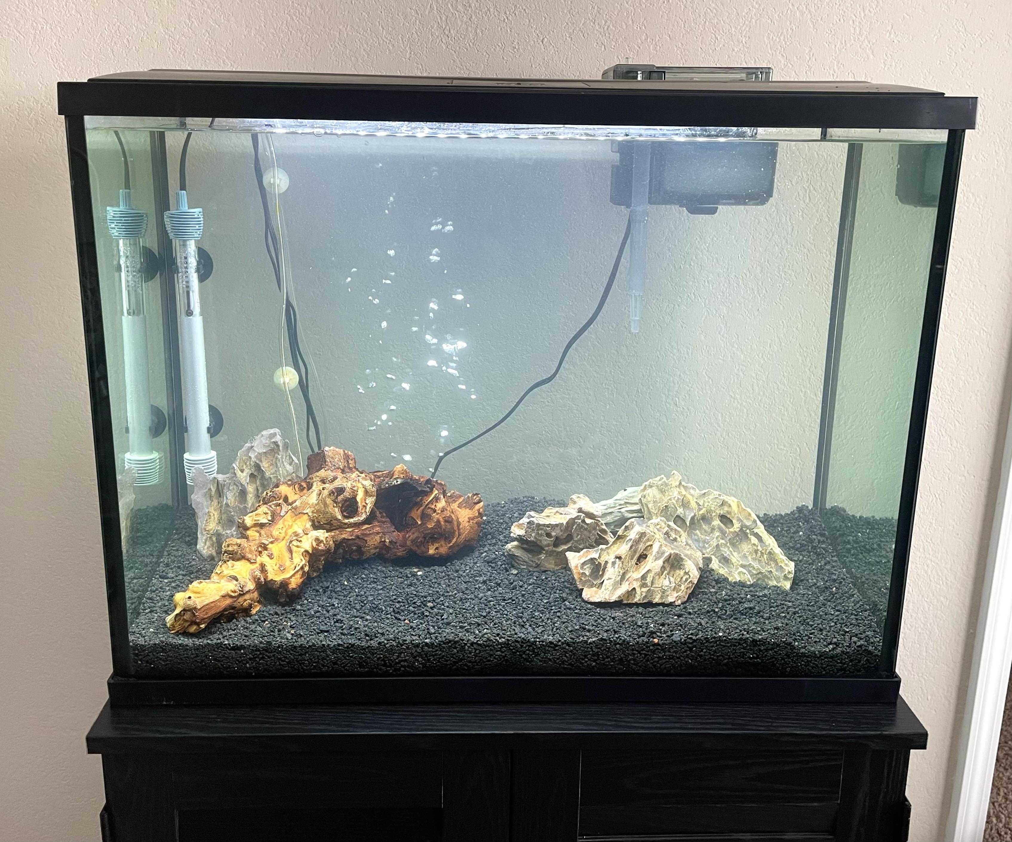 How to Set Up a Tropical Aquarium