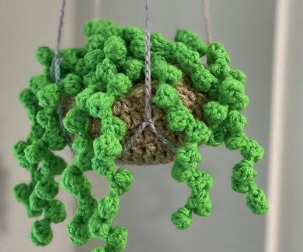DIY Crochet Hanging Plant