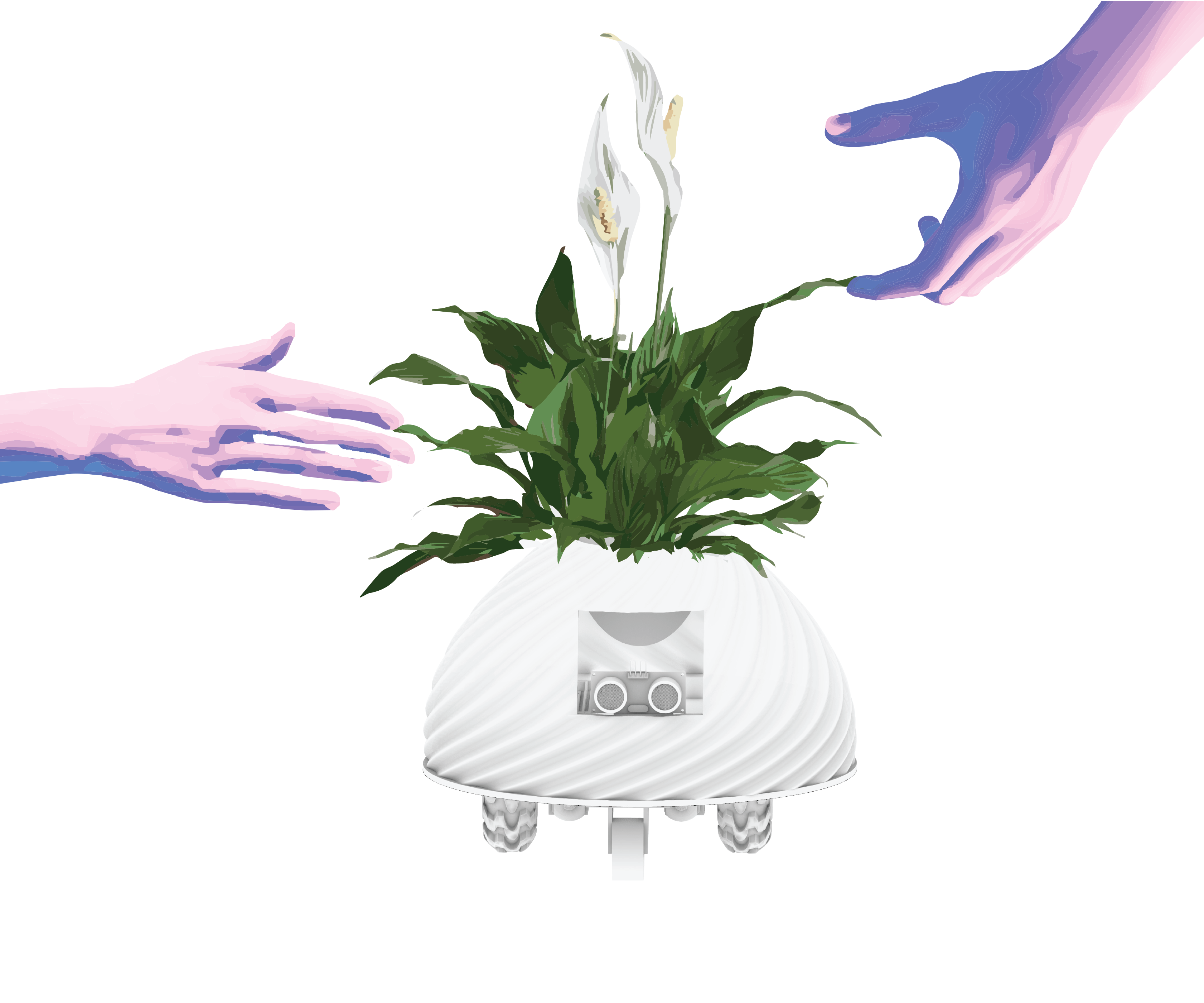 Emotionally Unavailable Plant