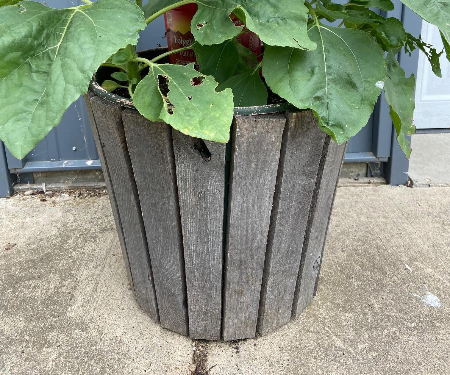 Wood Sheathed Flower Pot