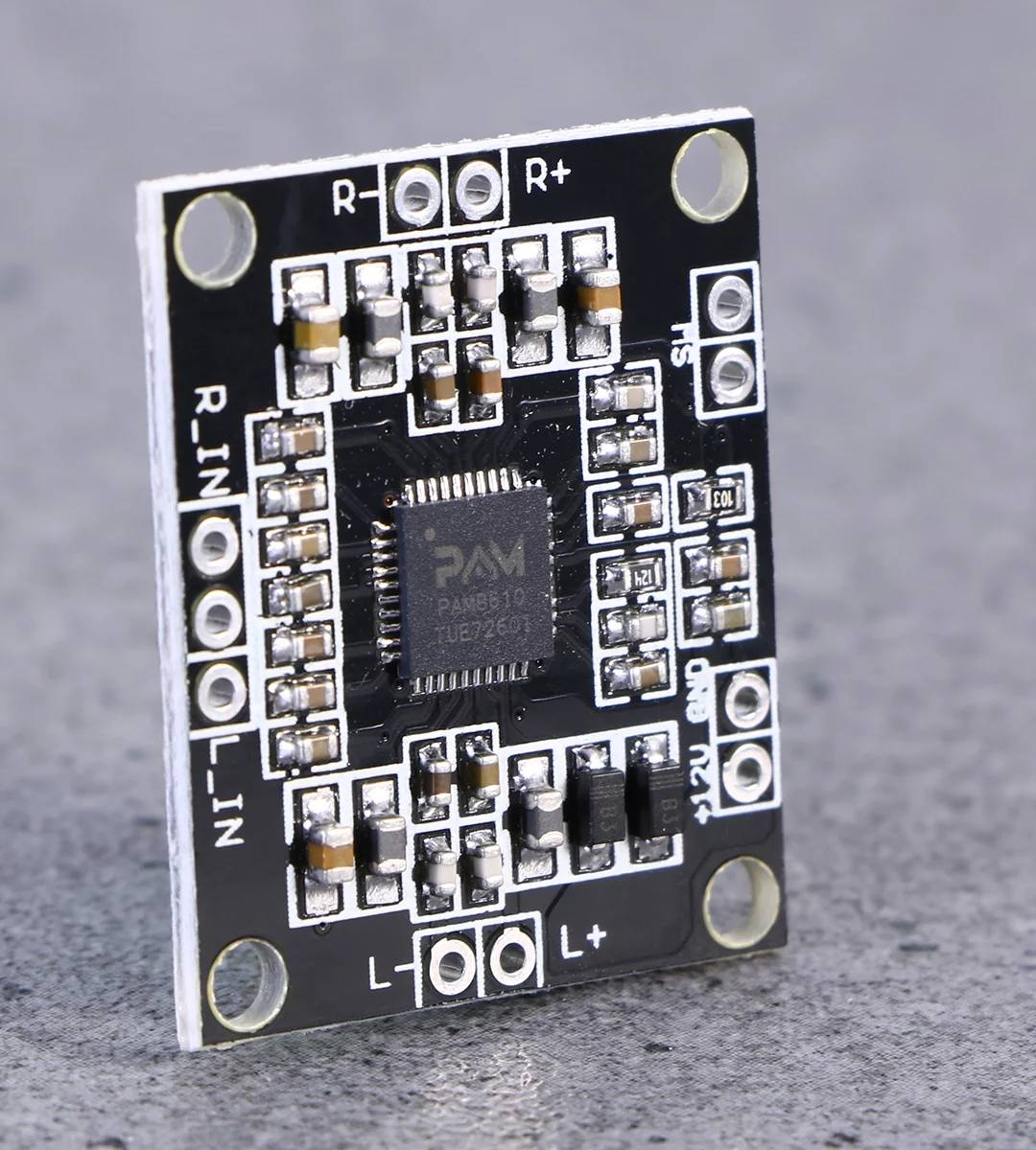 Wiring the PAM8610 Amplifier: a Step-by-Step Guide