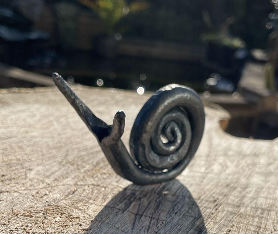 A Snail - With a Spring in It's Step