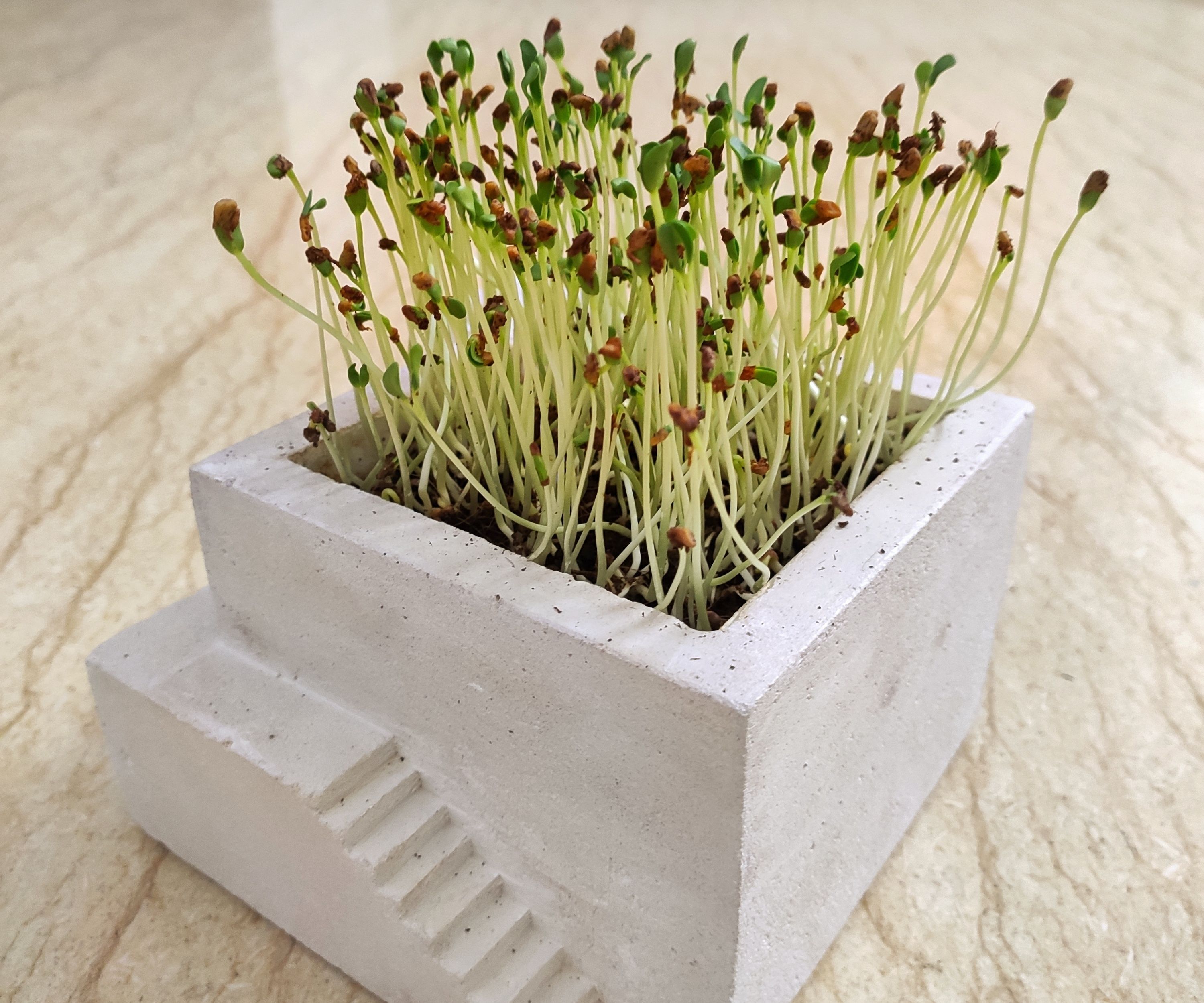Cement Planter With Stairs
