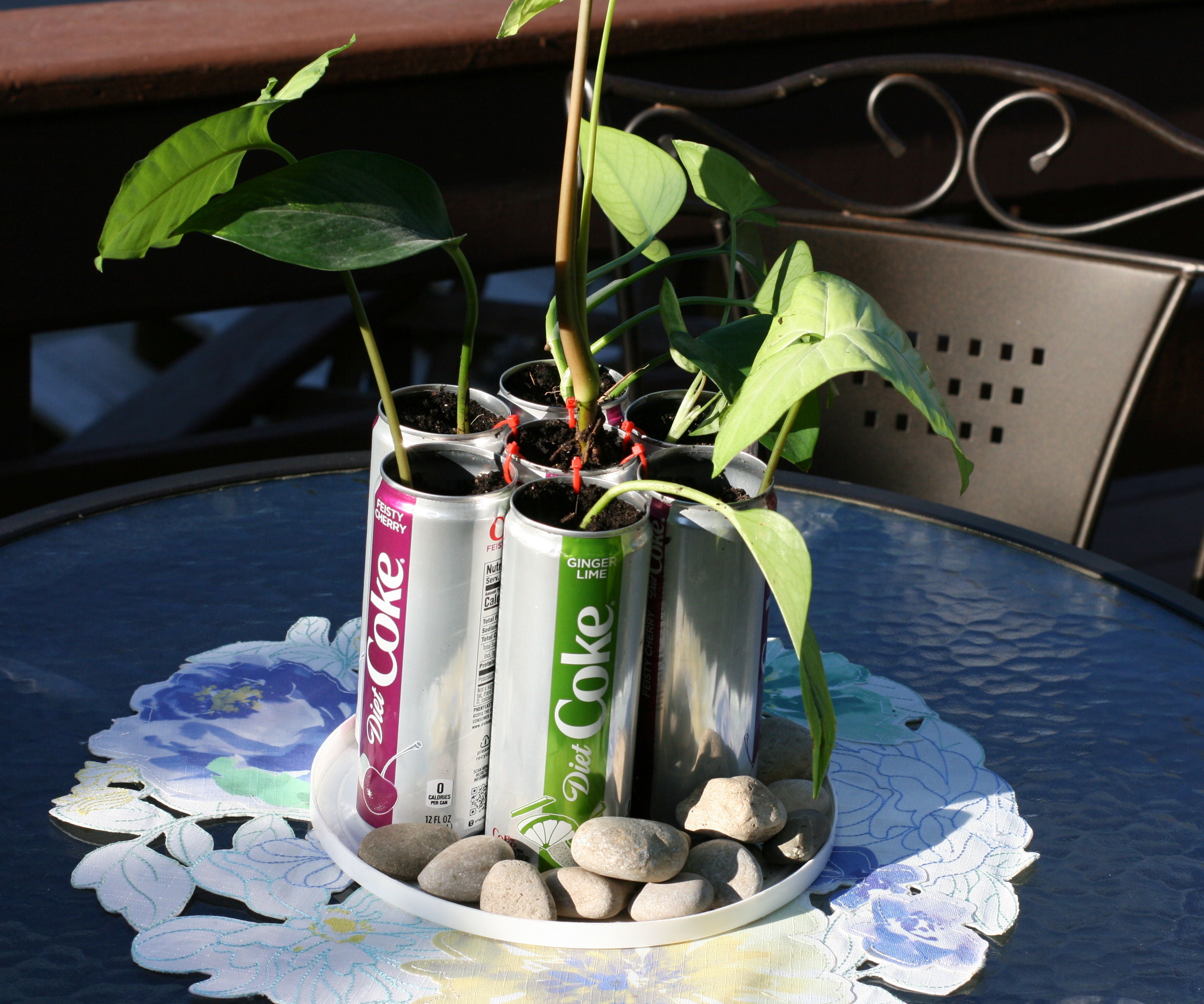 Recyclable Planter