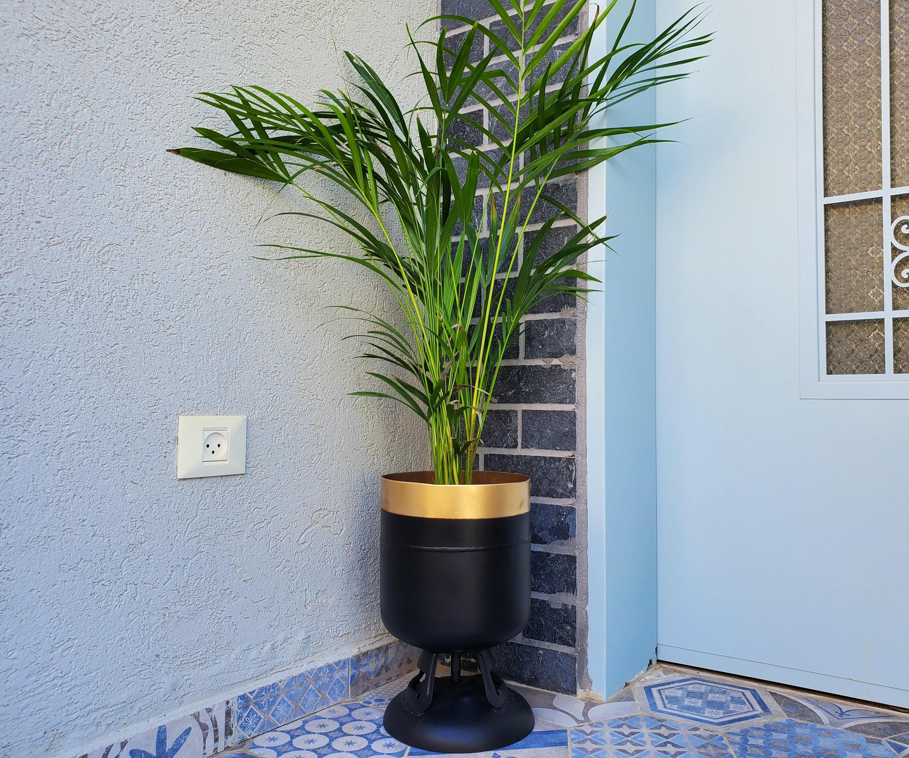 Gas Cylinder Turned to a Modern Metal Planter