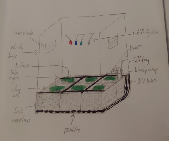 Our Automatic Self Watering Felt Pots 