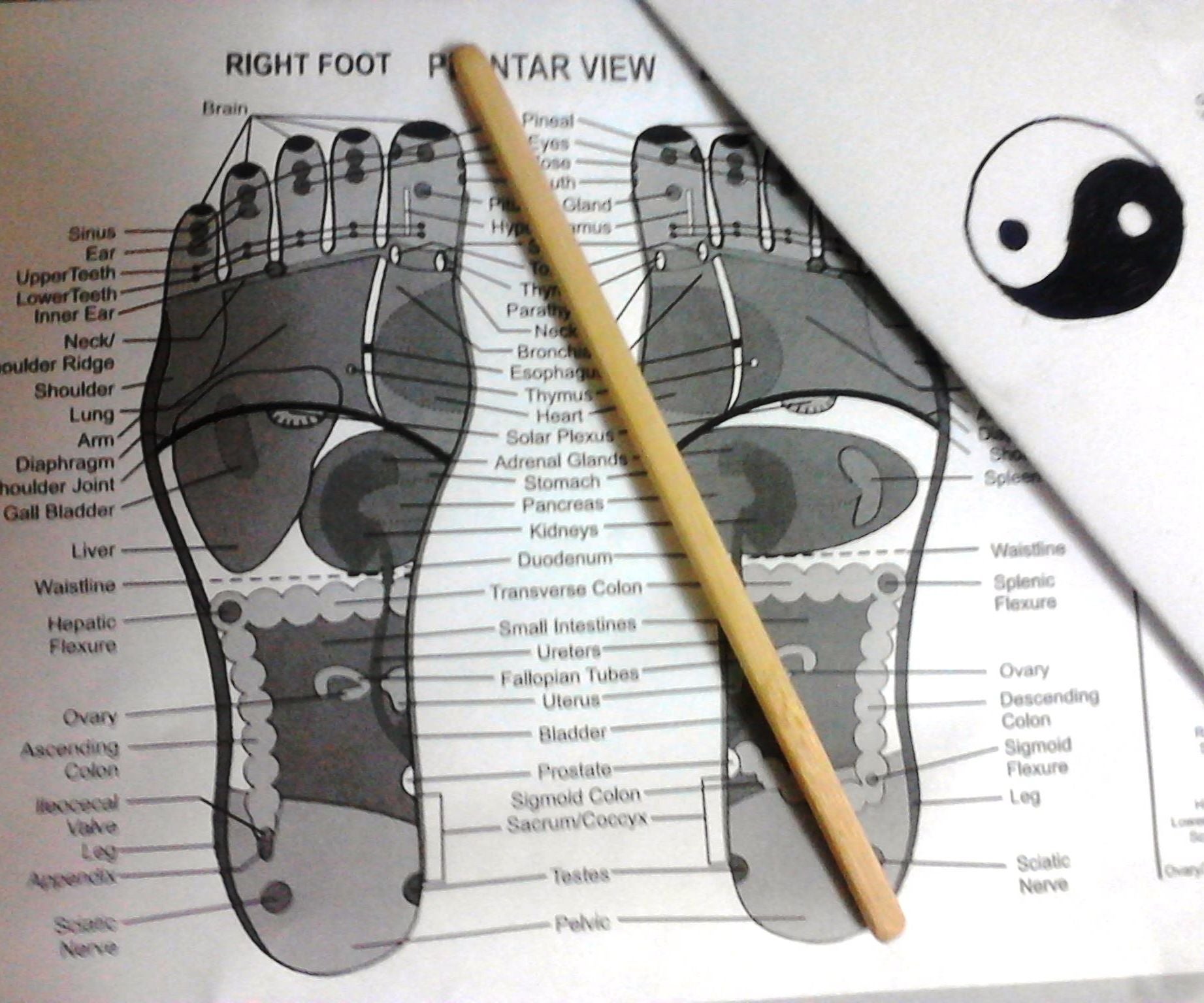 Acupressure Tool Made From Chopsticks