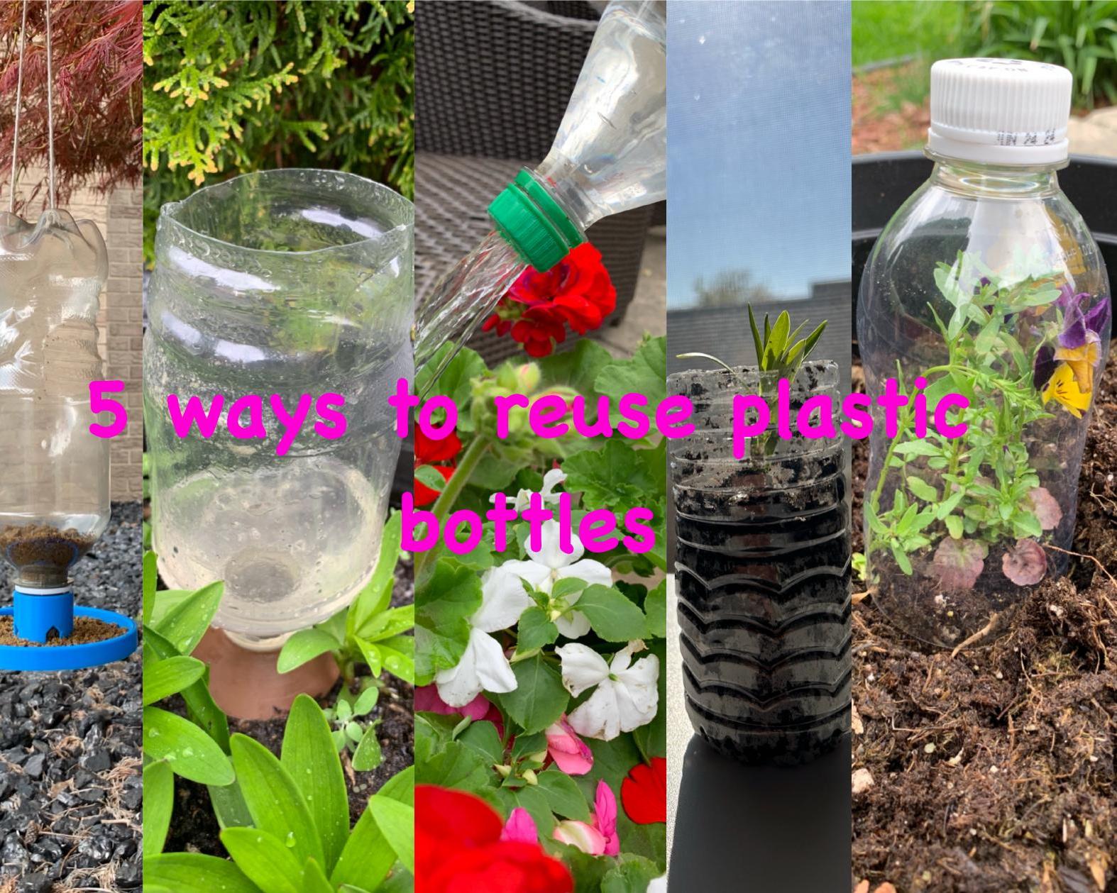 5 Ways to Reuse Plastic Bottles