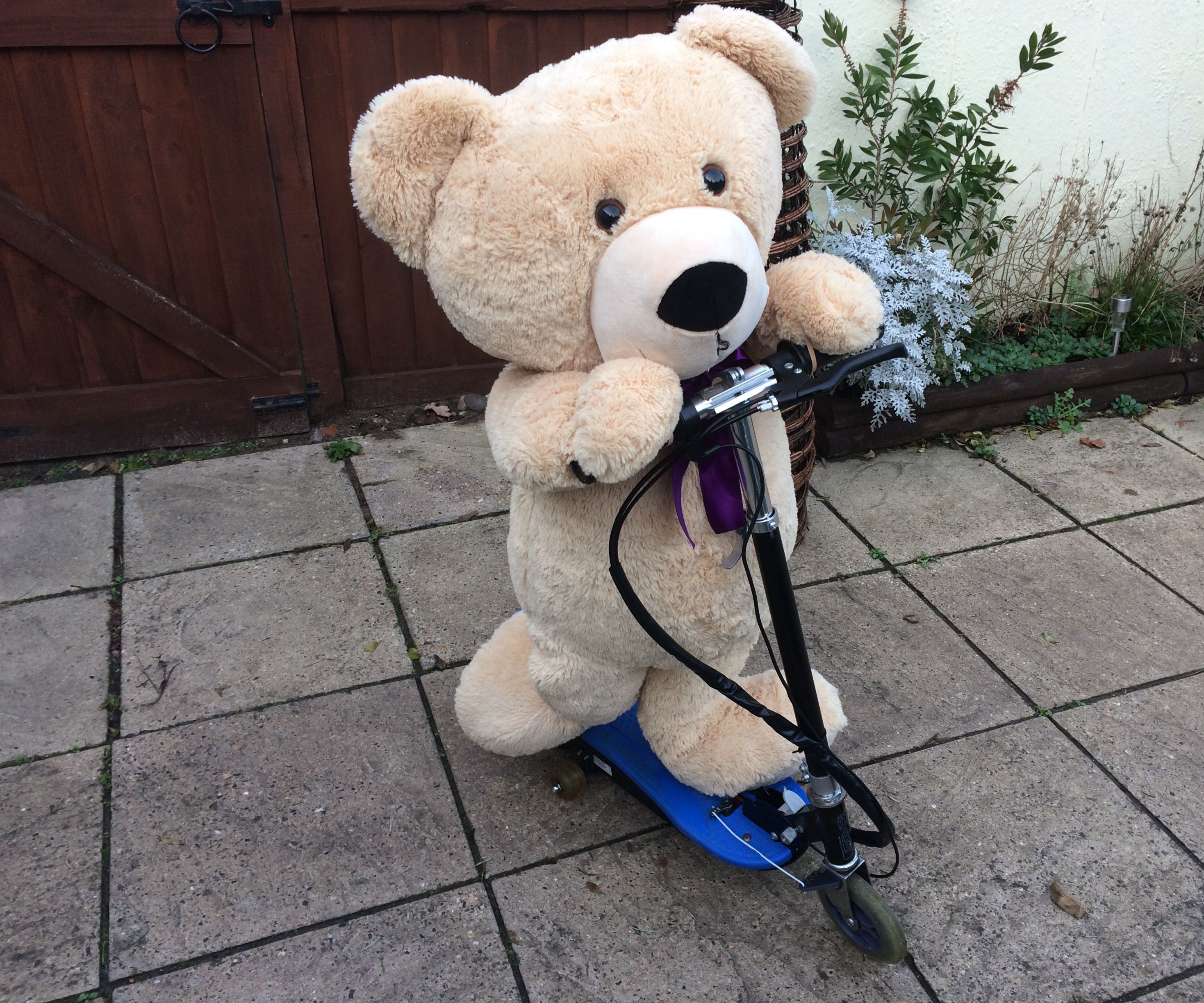 Radio Controlled Electric Teddy Scooter