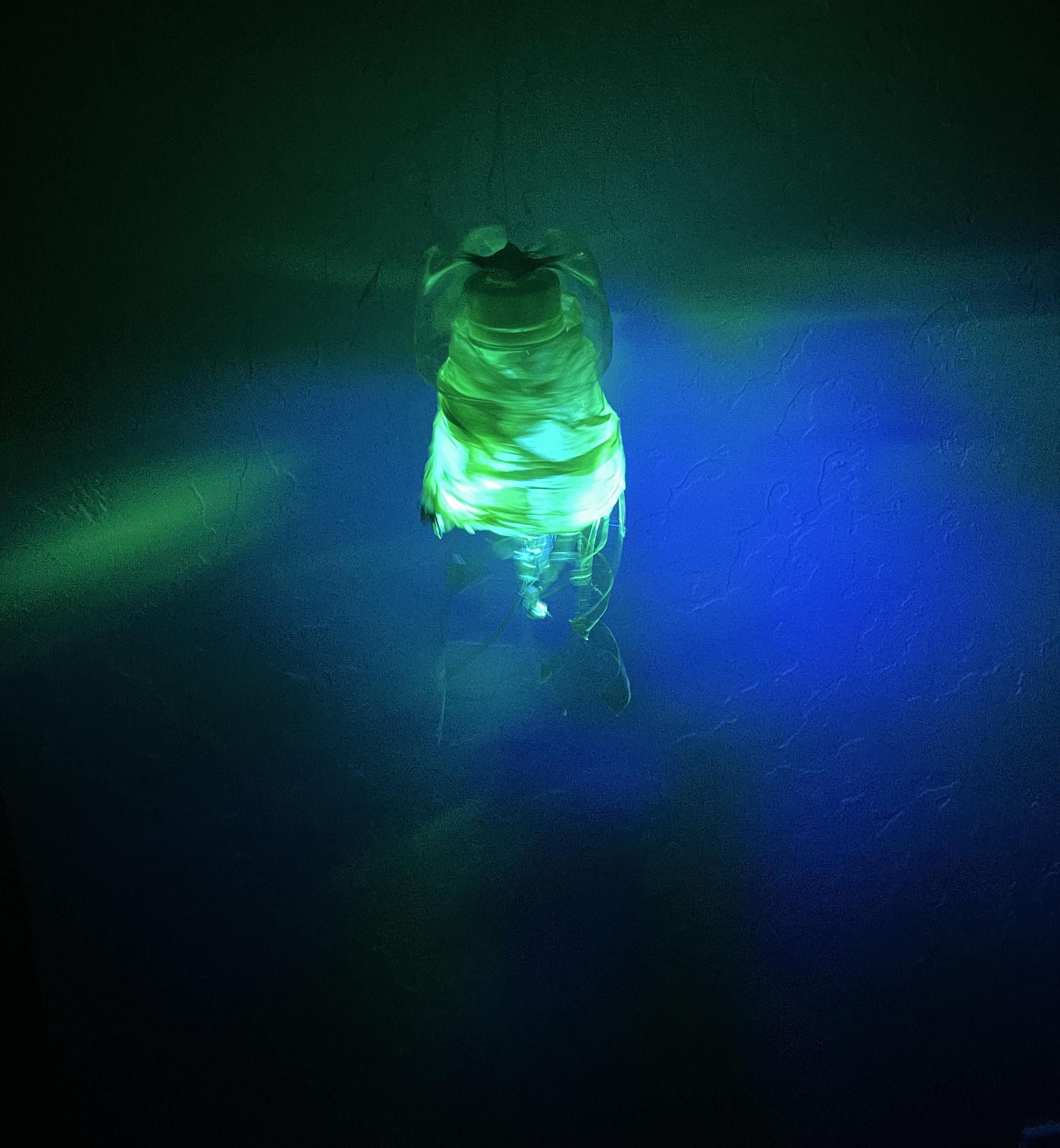 Recycled Glowing Jelly-Fish Hanging Light!