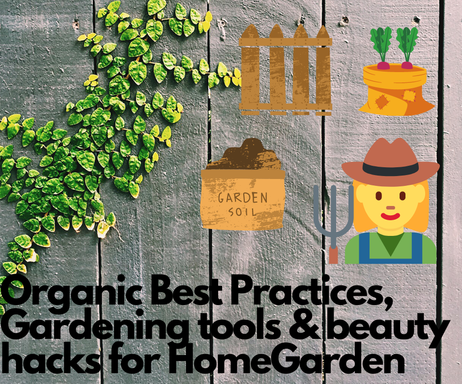 Best Practices #Self-reliant Home Garden