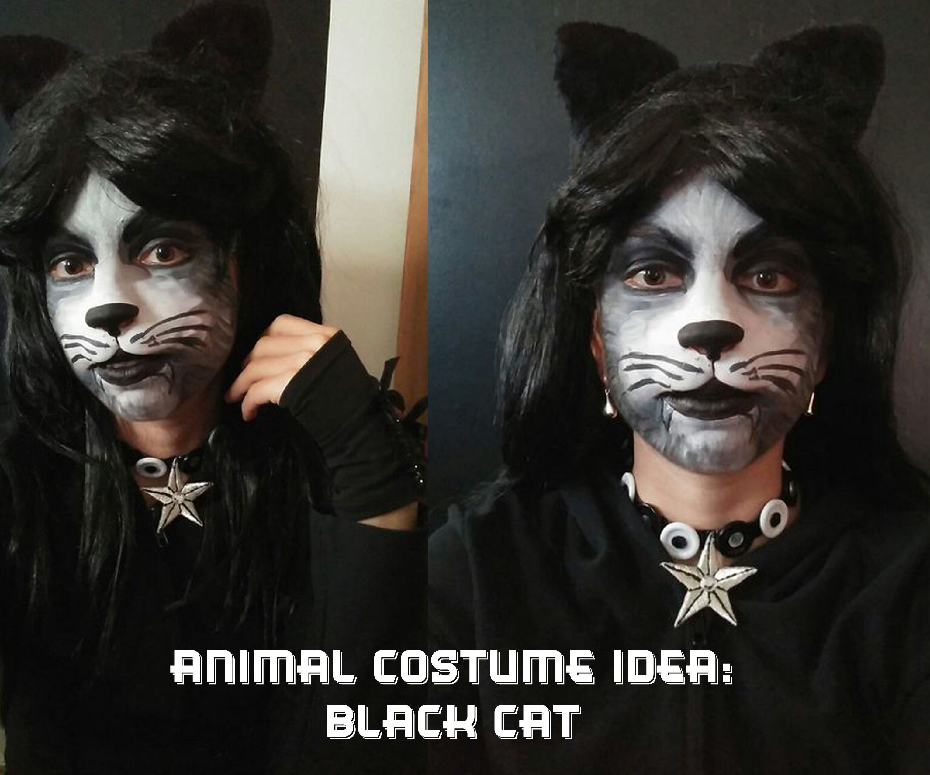 Animal Costume Idea: Black Cat