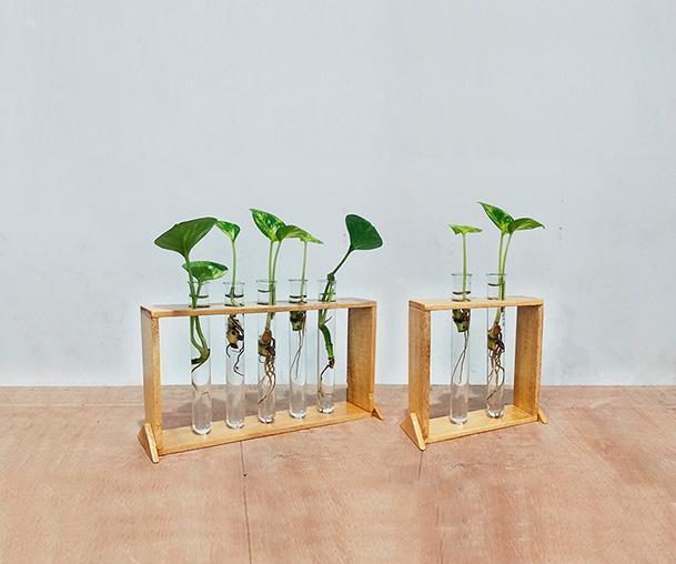 Test Tube Planter | Propagation Station