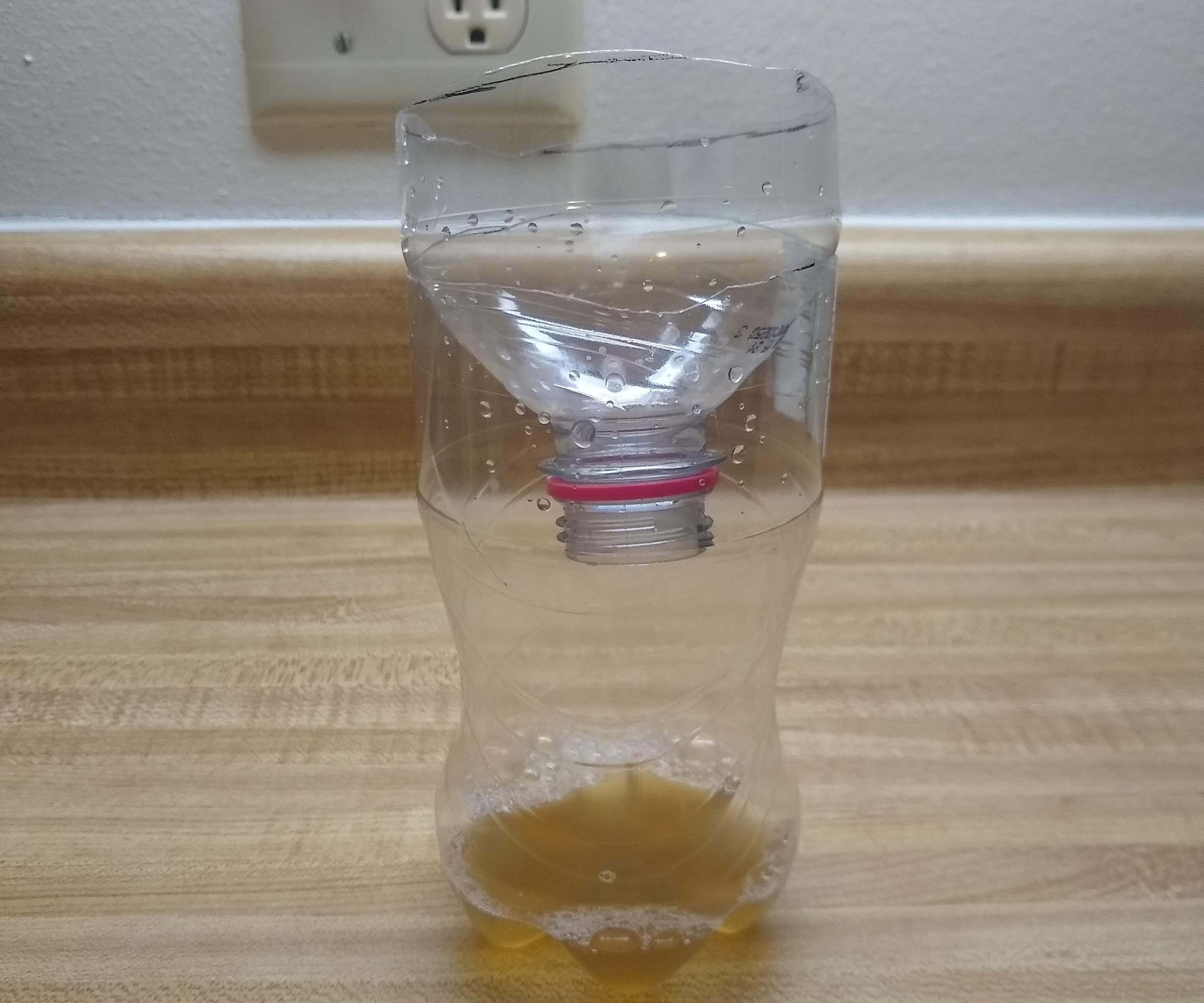 Homemade Fly Trap