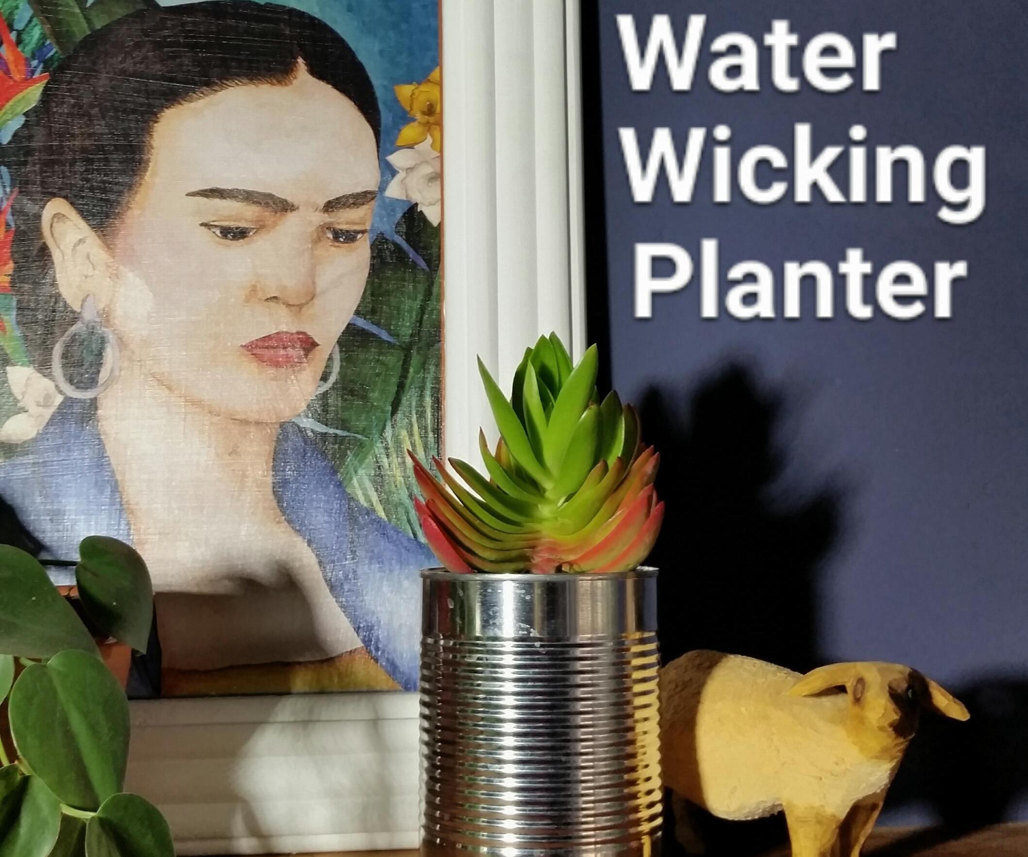 Upcycled Self Watering Planter
