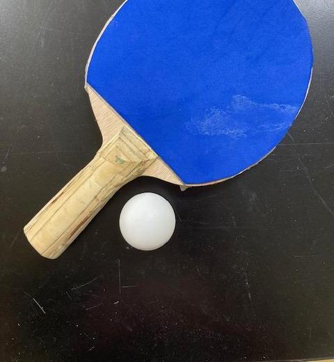 Ping Pong Paddles