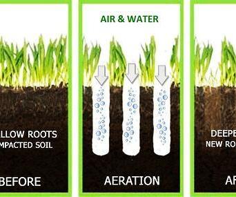 Soil Aerator for Pots