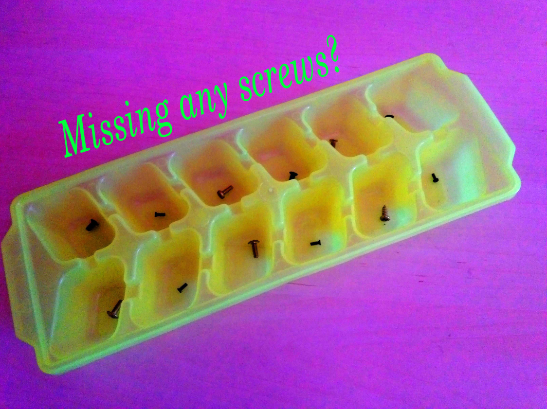  Screws  in Ice Cube Tray