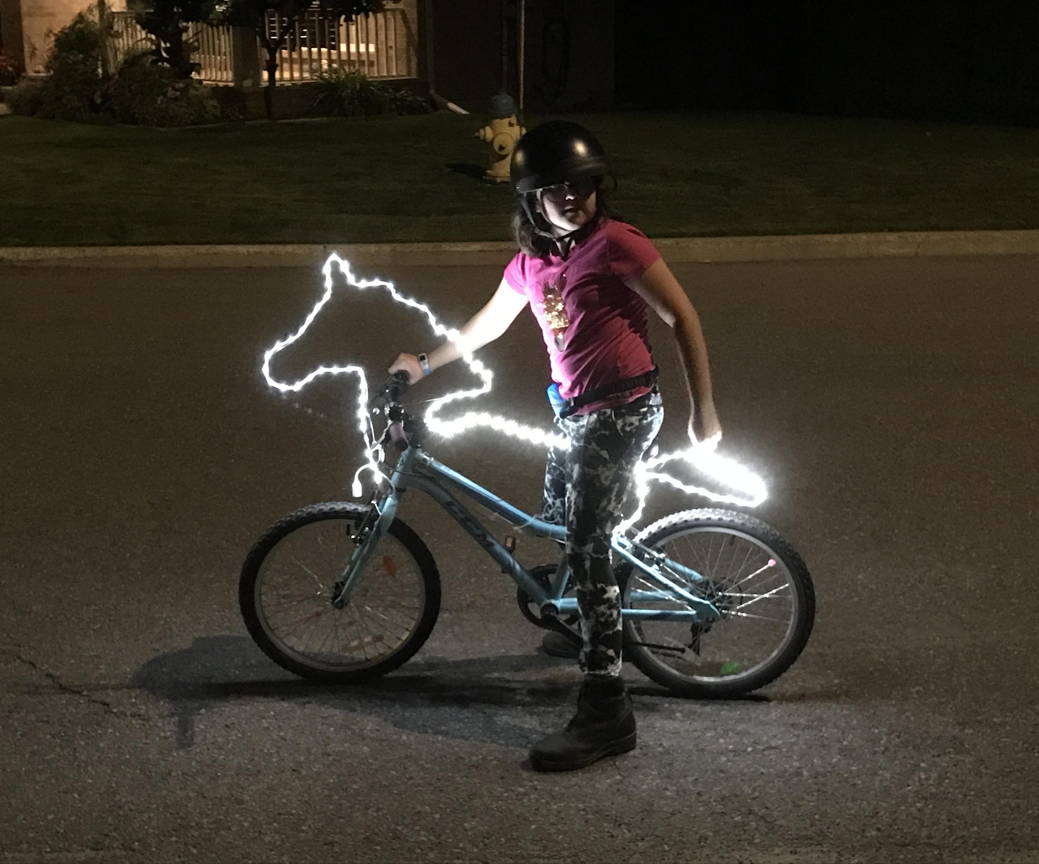 Illuminated Bicycle Horse