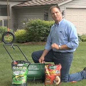 Lawn Care - Grub Control