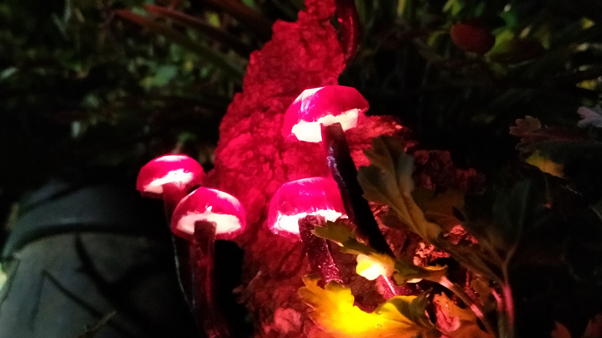 Glowing Pandora Mushroom | a Lamp Project Inspired From AVATAR