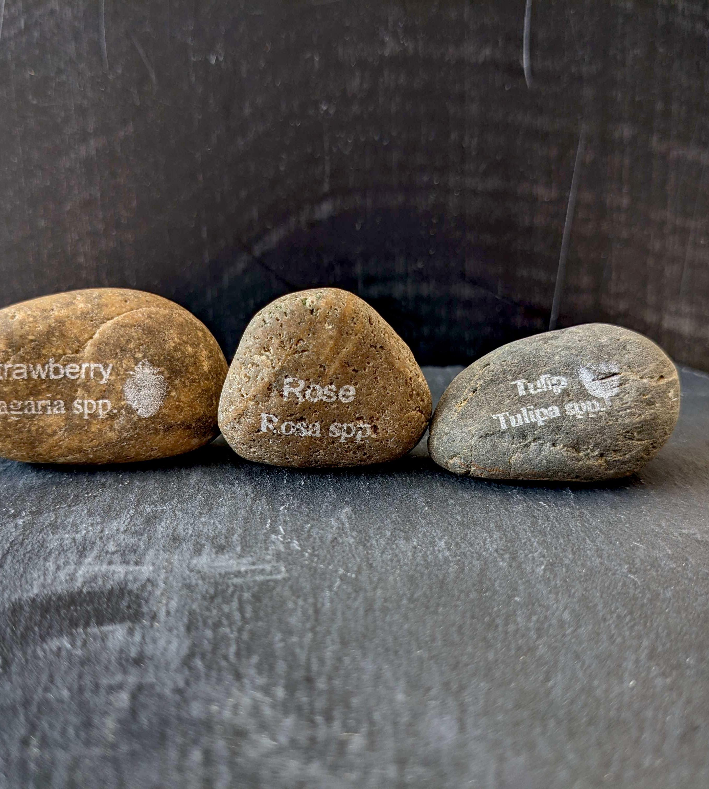 Laser-Engraved Stone Garden Markers