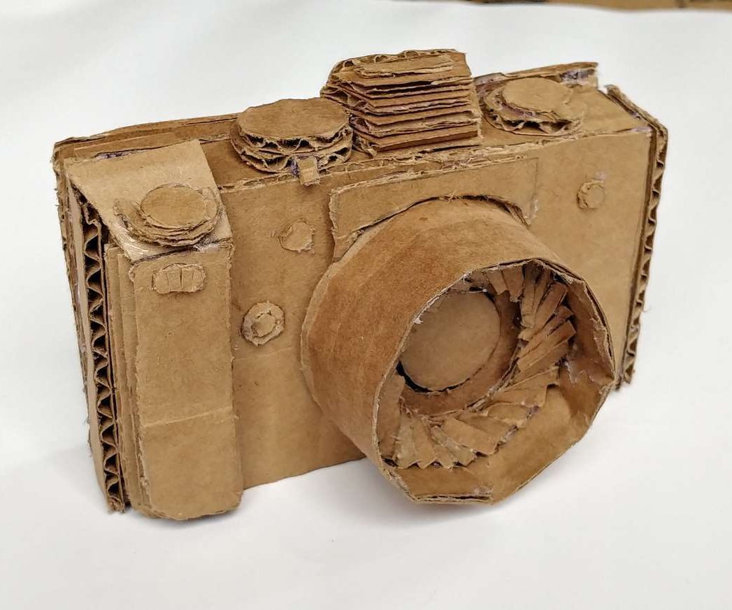 Cardboard Camera Creativity