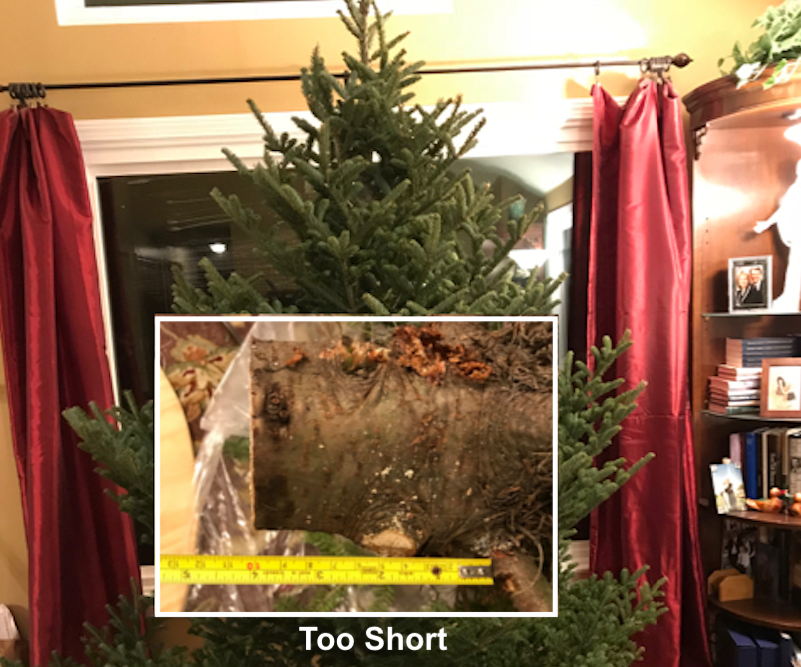 Christmas Tree Emergency